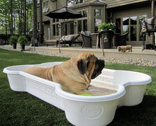 2 Bone Pools 2 Paw Pools Package